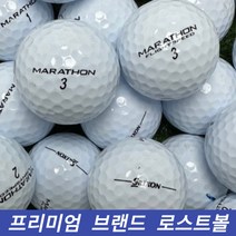 타이틀리스트 캘러웨이 볼빅 던롭 스릭슨 브랜드 모음 흰색 형광색 로스트볼 골프공, 일반브랜드 화이트 A.A- 10알