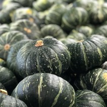 직수입 뉴질랜드 단호박 5kg 10kg, 뉴질랜드 정품 단호박 M 10kg (5~7과)