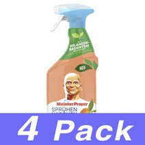 Meister Proper 주방 세정제 스프레이 Allzweckreiniger Spruhen-Wischen-Fertig 800Ml 4개