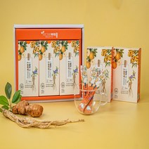 생강 배도라지 농축액(스틱)10gx60봉 선물세트, 1, 본상품선택, 본상품선택