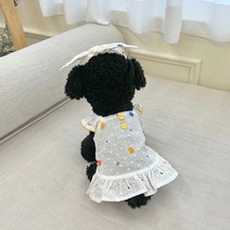 드레시몽 강아지 테라조원피스 헤어밴드, 원피스+헤어밴드