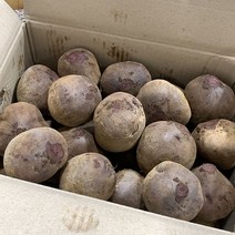 원동FS 국내산 레드비트 5kg 10kg