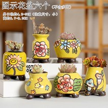 다육화분 다육이 심폴 화분 식물 미니 화분세트, 도자기, 옵션60