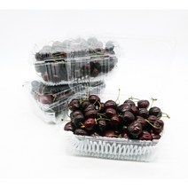 (1/26 배송 예정)고당도 칠레 겨울 생 체리 1kg/2kg/5kg, 2kg