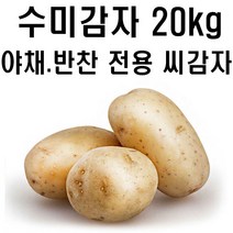 (주)왕산종묘 수미감자 3kg 10kg 20kg 강원도 정품 씨감자 대서 자영 홍영 수미 반찬용감자 텃밭 모두싹 비료 씨감자 파종, 1박스