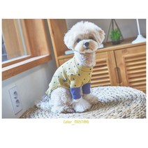 푸들 포메 비숑 강아지 외출 예쁜 도트 옷 코카스파니엘옷 개옷, S
