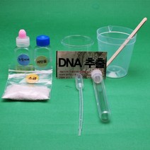 DNA추출 만들기 10인세트-JGS
