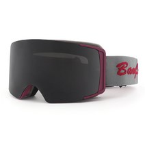 선빛 로버크 스키 고글 자석 마그네틱 탈부착 겨울 보드 방풍 스노우 스포츠, 와인