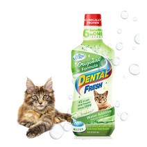시너지랩 캣 덴탈후레쉬 오리지널 포뮬라 236ml 고양이 입냄새 제거