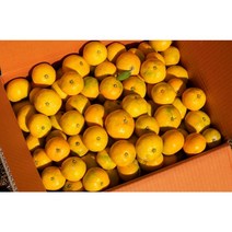 우가농 산지직송 제주 하우스 감귤 가정용 (소과 로얄과 중대과) (3kg 5kg), 1box, 중대과(5kg)