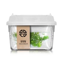 [느을] 검정말 관찰세트 자연 초등교과 수생식물