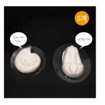 화석 모형틀 거푸집 삼엽충 암모나이트 택1 과학키트, 2)삼엽충 5개