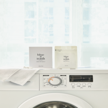 블루워시 친환경 세탁조클리너, 1개