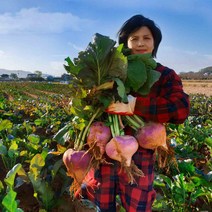 강화도 (최상품) 순무 순무김치 연미농장, 20kg, 1개