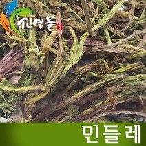 신영몰 국산 민들레 포공영 500g 건조 민들레차 원물재료, 1팩