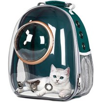 켄넬 애완견 강아지 이동 투명 거품 재활용 야외 여행 우주 캡슐 비행사 개 고양이 애완 동물 캐리어 배낭, [01] M, [01] Green With Cover