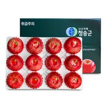 [오늘신선] 경북 청송 명절선물 프리미엄 과일선물 사과세트 5kg(12과내), 단품