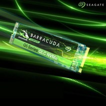 씨게이트 바라쿠다 Q5 1TB SSD M.2 정품 3년보증, 단품, 단품