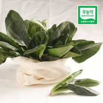 농사꾼아내 무농약 친환경 시금치 200g/400g/1kg, 무농약 시금치 200g