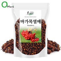 국내산 마가목 열매 정공실 정공피 250g, 없음, 1개