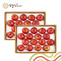 22년장길영 햇 부사 보조개 사과 4.5kg2박스 / 총9kg