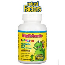 네추럴 팩터스 빅프렌즈 어린이 키즈 비타민D3 10mcg 400IU 베리번치 츄어블 250