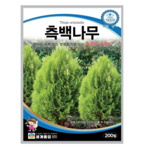 측백나무 씨앗 200립 울타리 수벽 방품림 속성수 수목 조경 종자, 04.올리브나무