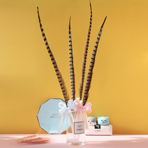 애견용품 긴꼬리 깃털 고양이 낚시대 장난감 플라잉캣, 없음, 블루