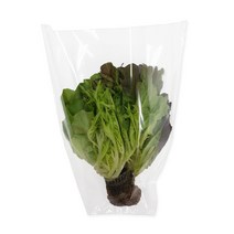 김서림 방지 사다리꼴 비닐 - 한포기 유럽상추 봉투 (하단x상단x깊이 120x330x300) (200장)