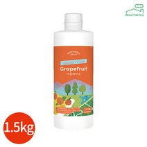 기타 서울팩토리 자몽 에이드 1.5kg x 1개, 단품