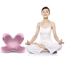 하드쿠션 허리보조기 허리디스크의자 자세교정의자 허리보호 의자추천 허리보조의자 허리 보조 의자 척추 의자 앉은 의자 교정, 블랙