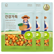 라이브잇 굿데이 강아지 건강가득 간식 300g, 연어 + 야채, 45개, 연어 + 야채