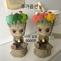 스칸디아모스 천연이끼 순록이끼 실내공기정화식물 화분, 나무밑동