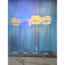 깃털 플로어 램프 수정 인테리어 장스탠드 무드등 감성 조명 LED 거실 침실 침대 안방, 소형 빛조절 7W