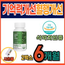 깜빡할때 뇌질환 기억력 개선 두뇌건강 영양제 뇌에좋은음식 고함량 식약처 인증 미국산 은행잎 플라보놀 최대 섭취량 징코 미국직수입 치매 약 3개월분 하지정맥 다리 혈액순환 혈행, 2통, 사은품증정, 90정