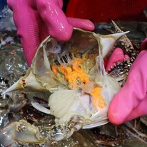 2kg 3kg 연평도 암꽃게 숫꽃게 냉동 꽃게, 연평도 냉동 숫꽃게 3kg (12미~13미)