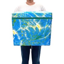 대원 스티로폼 아이스박스 업소형 대형, 블루, 5호 50L