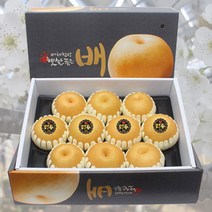 나주 전통 꿀배 신고배 선물세트 5kg 7.5kg, 7.5kg 9~10과