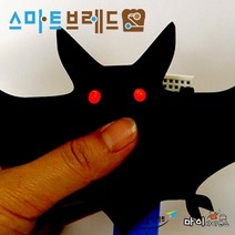 어두속박쥐 광센서 드랜지스터 실험키트 과학수업