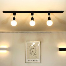 더엘이디 노아 레일조명 세트 블랙 화이트 로즈골드 1m 3구 (KC인증), 로즈골드-화이트레일