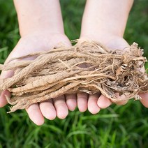 국산 한속단 200g, 1개
