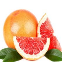 골드자몽 자몽 자몽효능 자몽6KG 자몽청만들기 자몽가격, 6KG