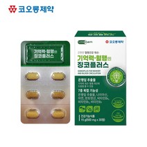 징코 빌로바 은행잎 추출물 두뇌 기억력 혈행 영양제 중년 남성 여성 직장인 수험생 뇌건강 효능 추천 Ginko Biloba, 1개, 30정