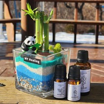 /마이힐링 마이힐링 디퓨저 화분 개운죽 반려식물 실내 방향제, 피톤치드향