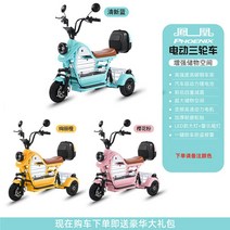 강아지전기자전거 등하교 애견동반 스쿠터, 25A 리튬 배터리 약 95km