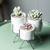 거실 인테리어 다육이 화분 선인장 받침 세트 꽃 화병 책상 미니 원형 세라믹화분 예쁜 인테리어화분, 로즈골드(소)