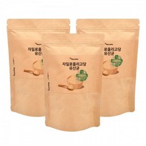 유익균의 좋은 먹이 자일로올리고당 유산균 150g 3봉 건강기능 건강 분말