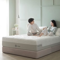 [지누스] 클라우드 럭스 메모리폼 매트리스 (30cm/킹)
