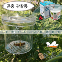어린이 곤충학습 곤충채집 도구 볼록렌즈 확대경 있는 관찰통 개미 거미 관찰, 곤충관찰통