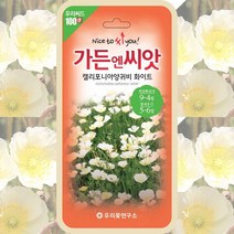 꽃양귀비 씨앗 흰색 캘리포니양귀비 화이트 100립 꽃씨 꽃씨몰 원예용, 단품